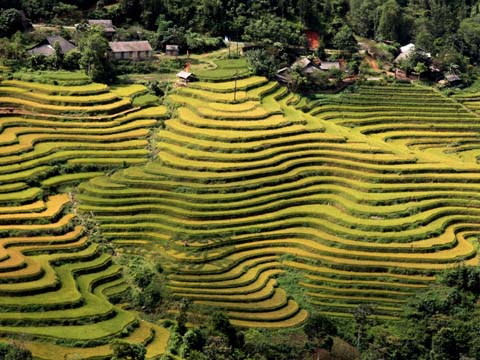 เอกลักษณ์สัปดาห์วัฒนธรรมการท่องเที่ยวนาขั้นบันไดหว่างซูฝี่